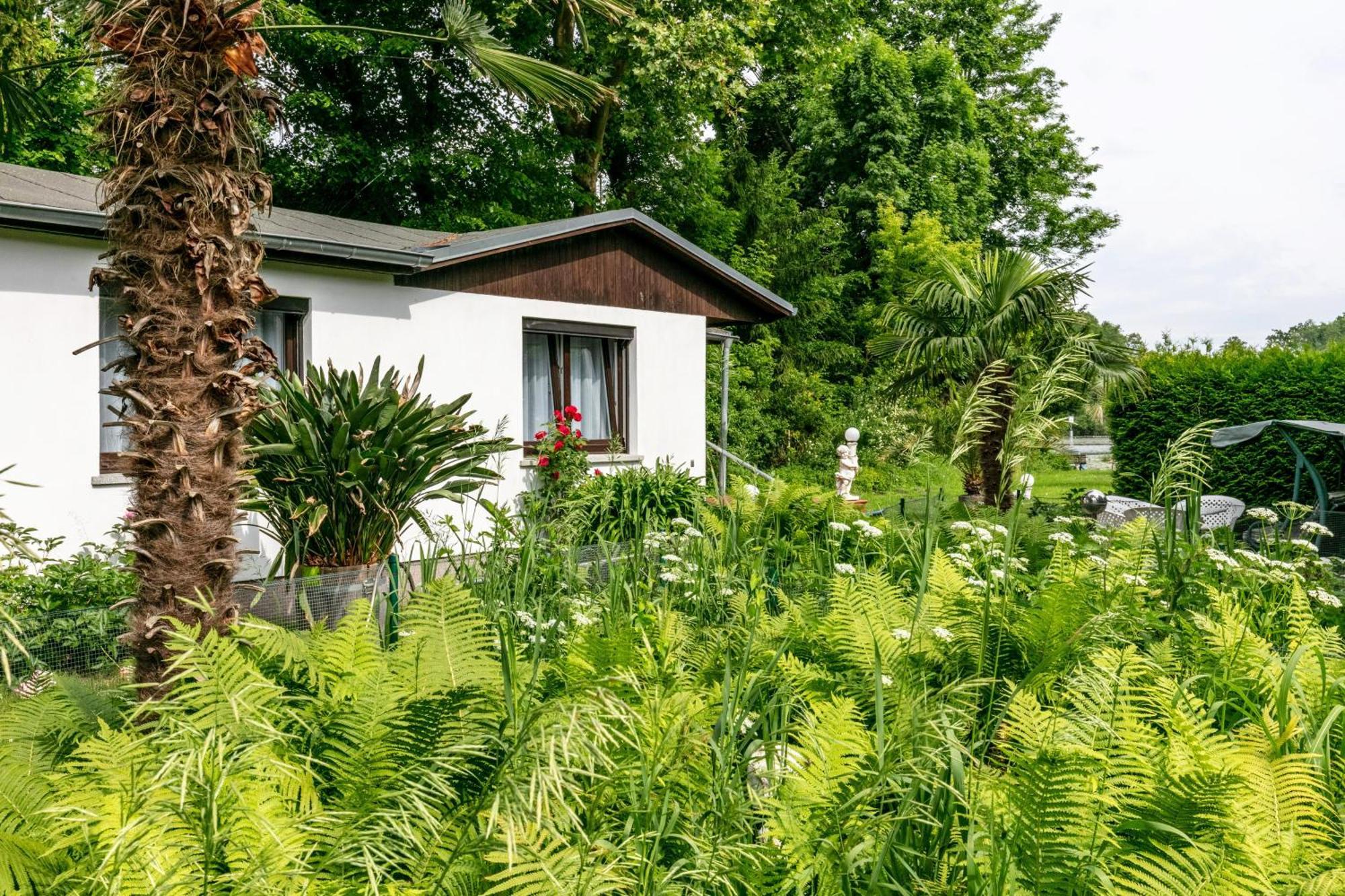 Vila Haus Am See Königs Wusterhausen Exteriér fotografie